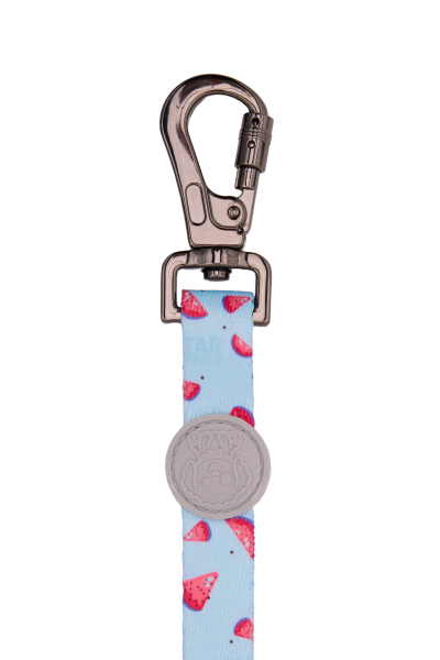 Strawberry Cloud Gezdirme Tasması