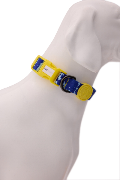 Aqua Shine Boyun Tasması