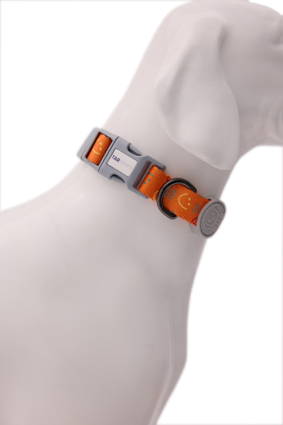 Lava Glow Boyun Tasması